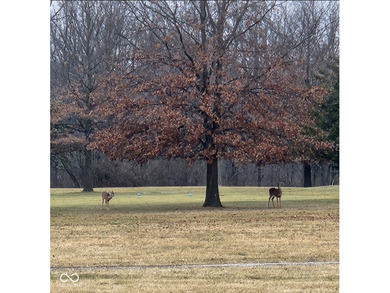 A distinguished living experience awaits presenting a golf on Quail Creek Golf Course in Indiana - for sale on GolfHomes.com, golf home, golf lot