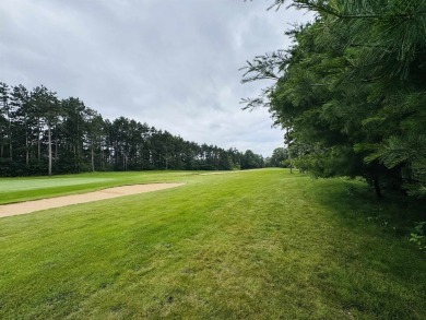 Build your dream getaway on this Lake Arrowhead golf course lot on Lake Arrowhead Golf Course - The Lakes in Wisconsin - for sale on GolfHomes.com, golf home, golf lot