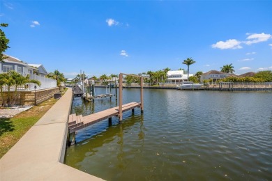 **No flooding from Hurricanes Helene or Milton** Welcome to your on Apollo Beach Golf and Sea Club in Florida - for sale on GolfHomes.com, golf home, golf lot