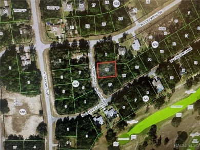 EXCELLENT 100 X 125 LOT NEAR GOLF COURSE!!!!

** BUYER TO PAY on Citrus Springs Country Club in Florida - for sale on GolfHomes.com, golf home, golf lot