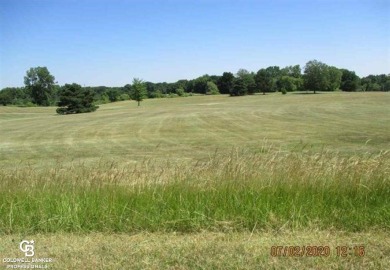 Across from Belle River Golf Course, wooded, ready to build on Belle River Golf and Country Club in Michigan - for sale on GolfHomes.com, golf home, golf lot