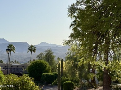 Fabulous mountain views on the side courtyard of this home on Rio Verde Country Club - Quail Run in Arizona - for sale on GolfHomes.com, golf home, golf lot