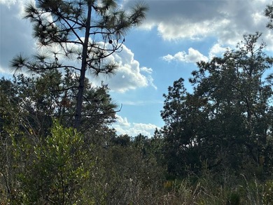 Excellent Location within Indian Lake Estates, close to club on Indian Lake Estates Golf and Country Club in Florida - for sale on GolfHomes.com, golf home, golf lot