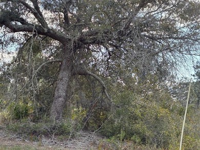 Excellent Location within Indian Lake Estates, close to club on Indian Lake Estates Golf and Country Club in Florida - for sale on GolfHomes.com, golf home, golf lot