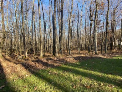 Looking for the perfect homesite for your vaction home or on Alpine Lake Resort in West Virginia - for sale on GolfHomes.com, golf home, golf lot