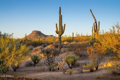 Nestled in Troon North's Echo Ridge, this residence boasts an on Troon Country Club in Arizona - for sale on GolfHomes.com, golf home, golf lot