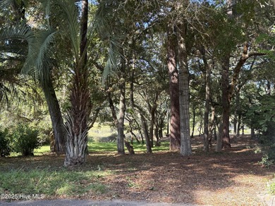 Welcome to 1748 Heron Point Road Southwest in Bent Tree on Brick Landing Plantation Yacht and Golf Club in North Carolina - for sale on GolfHomes.com, golf home, golf lot
