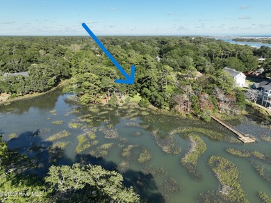 Welcome to 1748 Heron Point Road Southwest in Bent Tree on Brick Landing Plantation Yacht and Golf Club in North Carolina - for sale on GolfHomes.com, golf home, golf lot