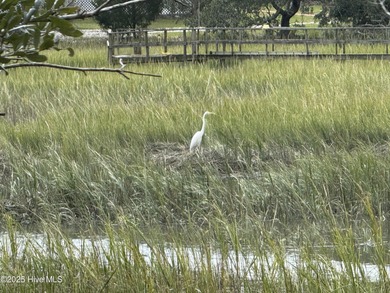 Welcome to 1748 Heron Point Road Southwest in Bent Tree on Brick Landing Plantation Yacht and Golf Club in North Carolina - for sale on GolfHomes.com, golf home, golf lot