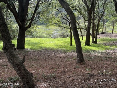 Welcome to 1748 Heron Point Road Southwest in Bent Tree on Brick Landing Plantation Yacht and Golf Club in North Carolina - for sale on GolfHomes.com, golf home, golf lot