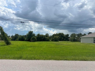 OFFICIAL LISTING AGENT - LESLIE BROWN PA (click my name on the on Deep Creek Golf Club in Florida - for sale on GolfHomes.com, golf home, golf lot