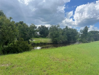 OFFICIAL LISTING AGENT - LESLIE BROWN PA (click my name on the on Deep Creek Golf Club in Florida - for sale on GolfHomes.com, golf home, golf lot