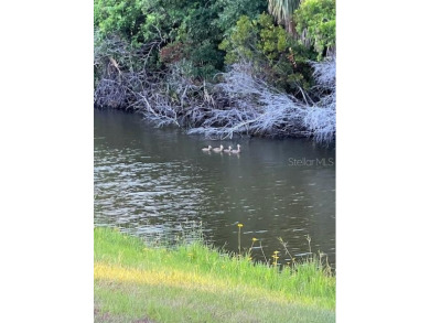 OFFICIAL LISTING AGENT - LESLIE BROWN PA (click my name on the on Deep Creek Golf Club in Florida - for sale on GolfHomes.com, golf home, golf lot