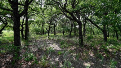 Crow's Fly View on Nocona Hills Golf Course in Texas - for sale on GolfHomes.com, golf home, golf lot
