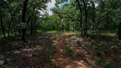 Crow's Fly View on Nocona Hills Golf Course in Texas - for sale on GolfHomes.com, golf home, golf lot