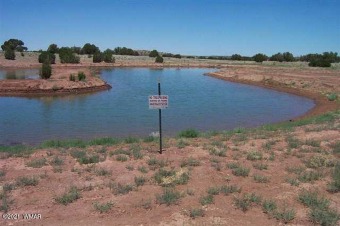Two contiguous parcels of 84.46 and 109.32 rolling acres on on Snowflake Municipal Golf Course in Arizona - for sale on GolfHomes.com, golf home, golf lot
