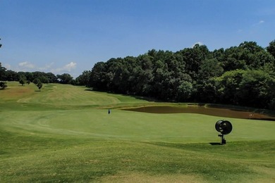Custom-built designs in the well-established community of Sandy on Double Oaks Golf Club in Georgia - for sale on GolfHomes.com, golf home, golf lot