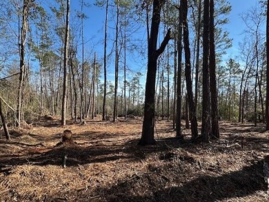 Partially cleared 5.36-acre wooded land ready for development! on Pointe South Golf Club in Georgia - for sale on GolfHomes.com, golf home, golf lot