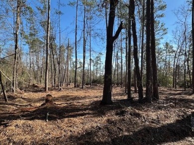 Partially cleared 5.36-acre wooded land ready for development! on Pointe South Golf Club in Georgia - for sale on GolfHomes.com, golf home, golf lot