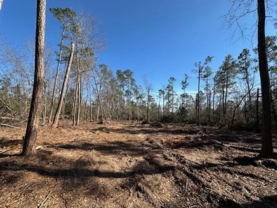 Partially cleared 5.36-acre wooded land ready for development! on Pointe South Golf Club in Georgia - for sale on GolfHomes.com, golf home, golf lot