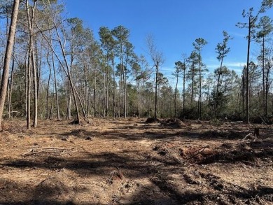 Partially cleared 5.36-acre wooded land ready for development! on Pointe South Golf Club in Georgia - for sale on GolfHomes.com, golf home, golf lot