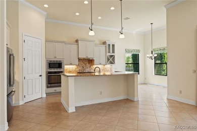 Why wait to build when you can move right into this stunning on Skyview At Terra Vista Golf and Country Club in Florida - for sale on GolfHomes.com, golf home, golf lot