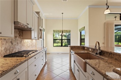Why wait to build when you can move right into this stunning on Skyview At Terra Vista Golf and Country Club in Florida - for sale on GolfHomes.com, golf home, golf lot