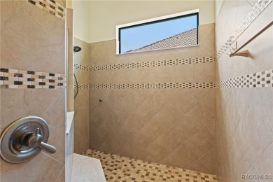 Why wait to build when you can move right into this stunning on Skyview At Terra Vista Golf and Country Club in Florida - for sale on GolfHomes.com, golf home, golf lot