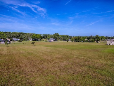 Welcome to The Villages of Citrus Hills, where your dream home on Citrus Hills Golf Club in Florida - for sale on GolfHomes.com, golf home, golf lot