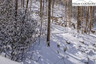 This charming Creekside cabin offers the perfect blend of on Beech Mountain Club in North Carolina - for sale on GolfHomes.com, golf home, golf lot