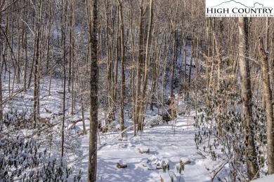 This charming Creekside cabin offers the perfect blend of on Beech Mountain Club in North Carolina - for sale on GolfHomes.com, golf home, golf lot