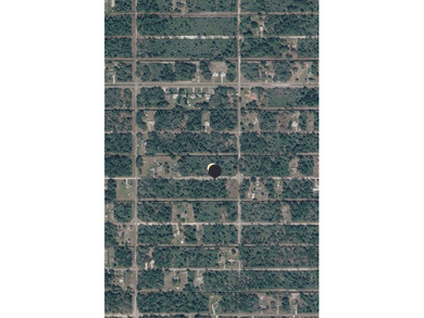 Build Your Florida Dream on 1 Acre in Indian Lake Estates

 on Indian Lake Estates Golf and Country Club in Florida - for sale on GolfHomes.com, golf home, golf lot