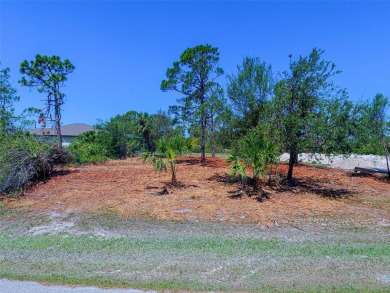 BUILD YOUR DREAM HOME IN ROTONDA LAKES located in Rotonda West on Rotonda Golf and Country Club - Long Marsh  in Florida - for sale on GolfHomes.com, golf home, golf lot