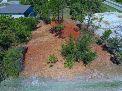 BUILD YOUR DREAM HOME IN ROTONDA LAKES located in Rotonda West on Rotonda Golf and Country Club - Long Marsh  in Florida - for sale on GolfHomes.com, golf home, golf lot
