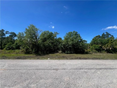 Welcome to your dream canvas in Port Charlotte, FL! What are you on Sabal Trace Golf and Country Club in Florida - for sale on GolfHomes.com, golf home, golf lot