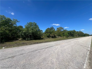 Welcome to your dream canvas in Port Charlotte, FL! What are you on Sabal Trace Golf and Country Club in Florida - for sale on GolfHomes.com, golf home, golf lot