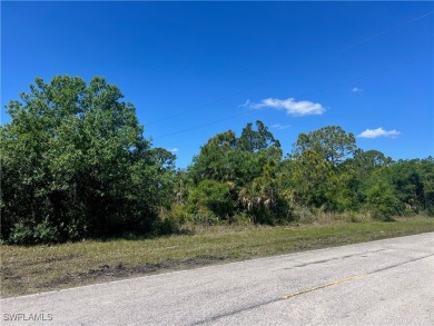 Welcome to your dream canvas in Port Charlotte, FL! What are you on Sabal Trace Golf and Country Club in Florida - for sale on GolfHomes.com, golf home, golf lot