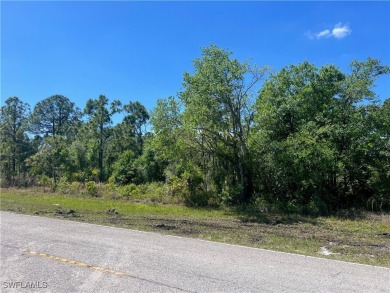 Welcome to your dream canvas in Port Charlotte, FL! What are you on Sabal Trace Golf and Country Club in Florida - for sale on GolfHomes.com, golf home, golf lot