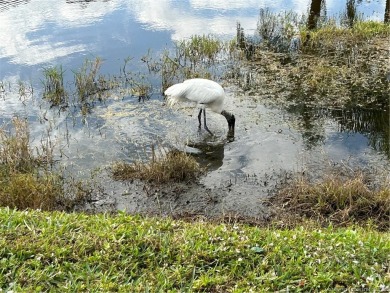 This unit has unlimited golf on P.B. DYE designed executive golf on Monterey Yacht and Country Club in Florida - for sale on GolfHomes.com, golf home, golf lot