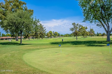 This Sun City home offers a balanced blend of comfort, space on Sun City-Willow Creek / Willow Brook  in Arizona - for sale on GolfHomes.com, golf home, golf lot