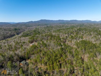 One of the very best MOUNTAIN VIEW lots in Buckhorn Estates! on White Path Golf Club in Georgia - for sale on GolfHomes.com, golf home, golf lot
