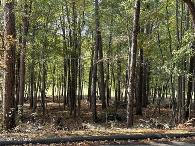 This golf front oasis is located on the picturesque 12th hole of on Seven Lakes Country Club in North Carolina - for sale on GolfHomes.com, golf home, golf lot