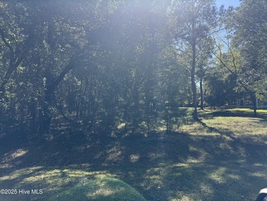 WATERFRONT AND GOLF COURSE COMMUNITY!!! Just a short drive to on Harbour Point Golf Club in North Carolina - for sale on GolfHomes.com, golf home, golf lot