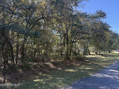 WATERFRONT AND GOLF COURSE COMMUNITY!!! Just a short drive to on Harbour Point Golf Club in North Carolina - for sale on GolfHomes.com, golf home, golf lot