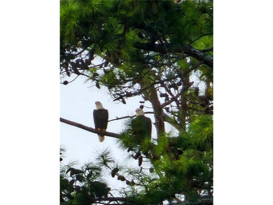 Welcome to an extraordinary opportunity within the prestigious on  in Georgia - for sale on GolfHomes.com, golf home, golf lot