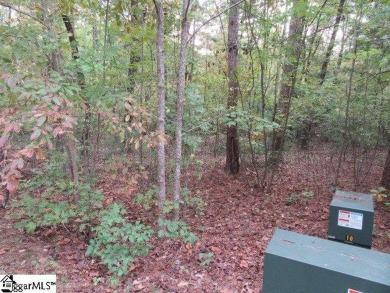 Premier lot,  centrally located in The Rock at Jocassee golf on The Rock At Jocassee in South Carolina - for sale on GolfHomes.com, golf home, golf lot