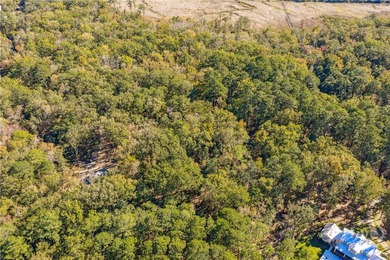 Nestled on 2.78 private, wooded acres, this exceptional estate on The Ford Field and River Club  in Georgia - for sale on GolfHomes.com, golf home, golf lot