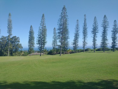 Peaceful ocean and fairway views from this 2022 build in the on Discovery Harbour Golf Course in Hawaii - for sale on GolfHomes.com, golf home, golf lot