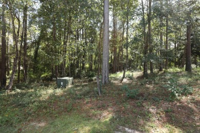 Priced to sell!  Beautiful lots in The Village Subdivision! New on Hattiesburg Country Club in Mississippi - for sale on GolfHomes.com, golf home, golf lot
