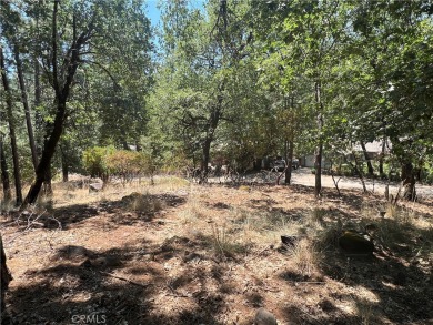 Easy slope lot amidst the tall trees of Cobb Mt. Quiet on Rob Roy Golf Club in California - for sale on GolfHomes.com, golf home, golf lot